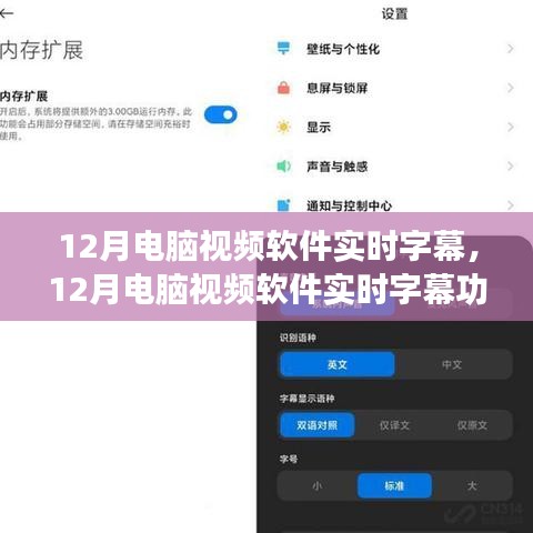 12月電腦視頻軟件實時字幕功能詳解與深度解析