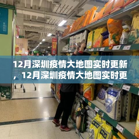 深圳疫情大地圖實時更新指南,步驟詳解與最新動態