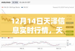 天澤信息實時行情解析,深度剖析與特殊篇章(12月14日)