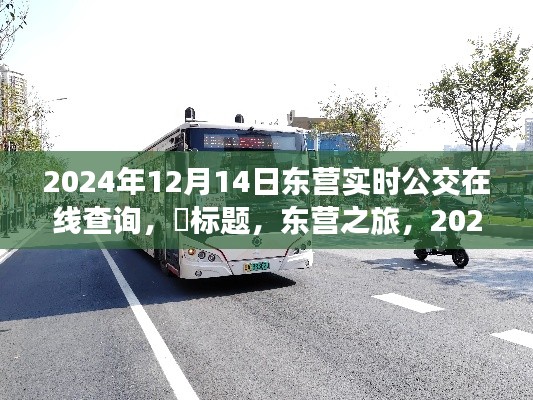 東營公交實時查詢系統，探尋心靈靜謐角落的公交之旅