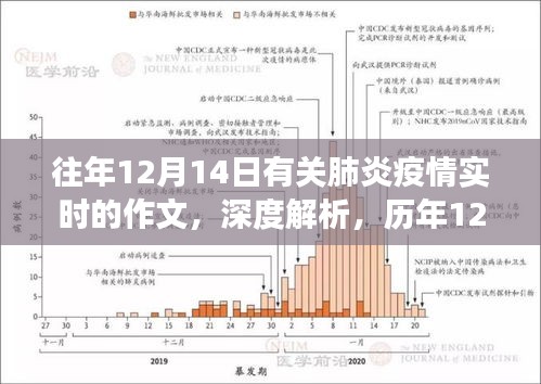歷年12月14日肺炎疫情深度解析與反思展望,實時狀況下的反思與展望