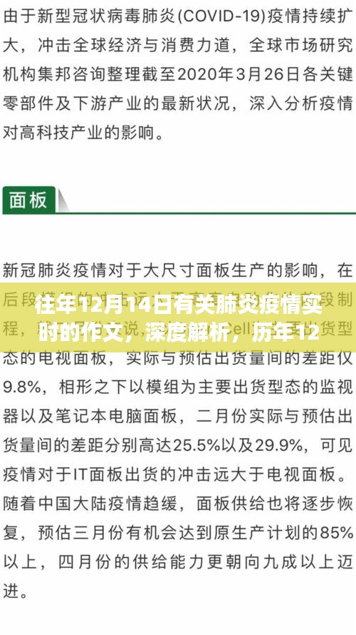 歷年12月14日肺炎疫情深度解析與反思展望,實時狀況下的反思與展望