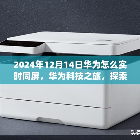 華為科技之旅，實時同屏探索自然美景的寧靜之旅（2024年12月14日）