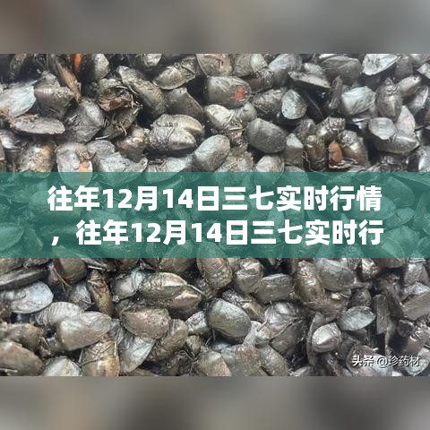 碧瓦飛甍 第4頁