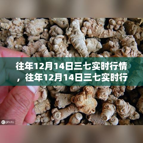 往年12月14日三七行情深度解析及實時動態(tài)觀察