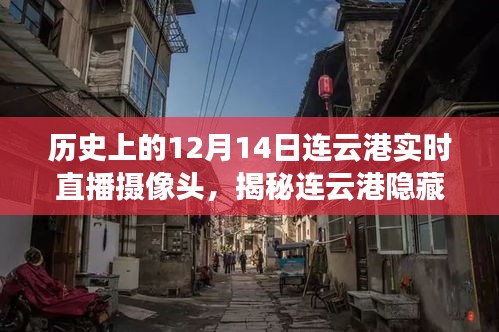 揭秘美食秘境，連云港隱藏小巷的實時直播探索之旅（附日期，12月14日）