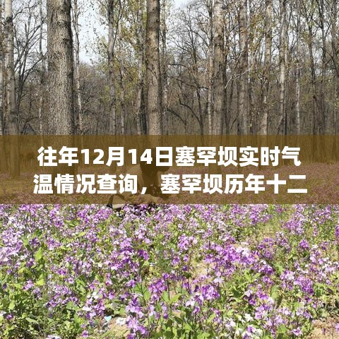 塞罕壩歷年十二月十四日氣溫波動解析與實時氣溫查詢,個人觀點闡述