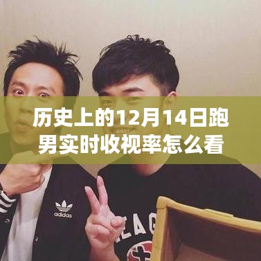 跑男收視率背后的故事,紀(jì)念友誼與陪伴的溫馨之旅(歷史上的收視率解析)