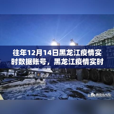 黑龍江歷年12月14日疫情實時數據深度回顧與數據分析焦點關注