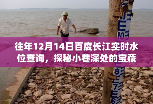 百度長江水位查詢背后的秘密,小巷寶藏與實時水位數(shù)據(jù)探秘