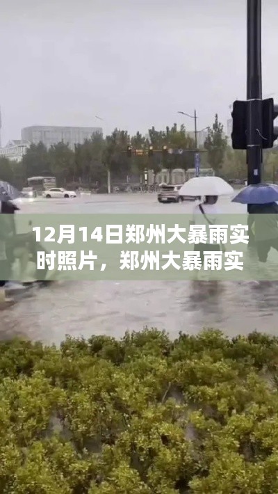 鄭州大暴雨實時照片記錄,雨幕下的城市拍攝指南