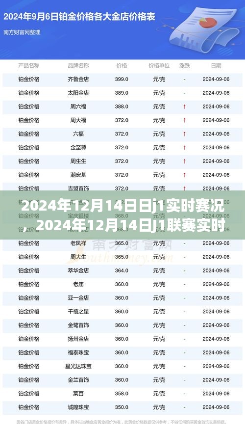 2024年12月14日J1聯賽實時賽況深度解析與某某觀點探討