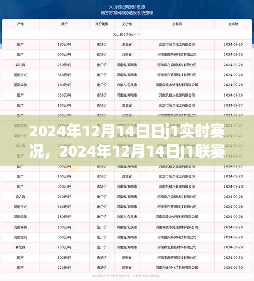 2024年12月14日J1聯賽實時賽況深度解析與某某觀點探討