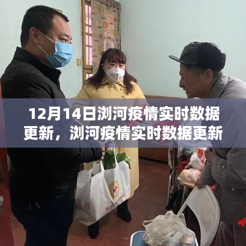 12月14日瀏河疫情實時數據更新及系統深度評測介紹