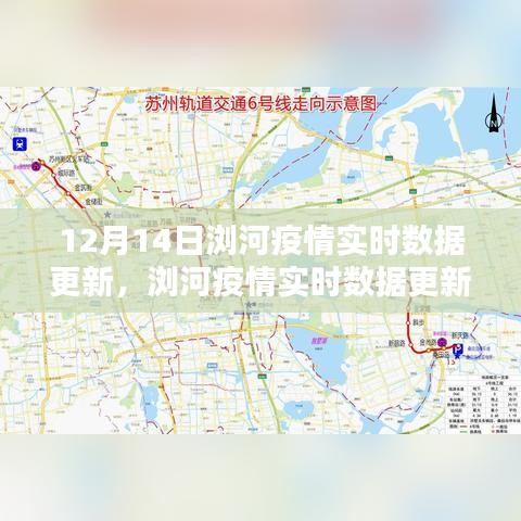 12月14日瀏河疫情實時數據更新及系統深度評測介紹