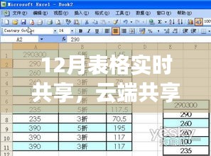 揭秘云端共享科技產品,十二月實時表格共享重塑工作效率與生活品質!