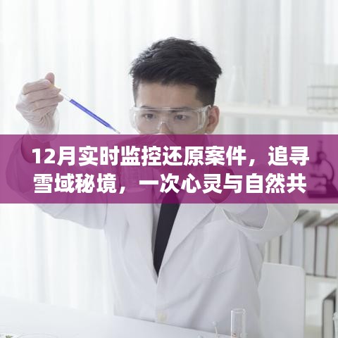 雪域秘境追蹤,12月實時監(jiān)控還原案件的心靈之旅