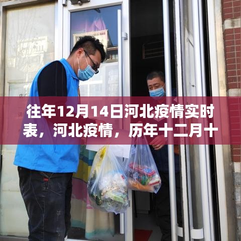 歷年十二月十四日河北疫情深度回顧與影響分析,實(shí)時(shí)數(shù)據(jù)報(bào)告及觀察報(bào)告