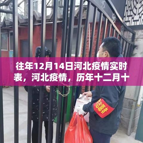 歷年十二月十四日河北疫情深度回顧與影響分析,實(shí)時(shí)數(shù)據(jù)報(bào)告及觀察報(bào)告