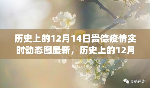 歷史上的12月14日貴德疫情實時動態圖最新解讀與更新