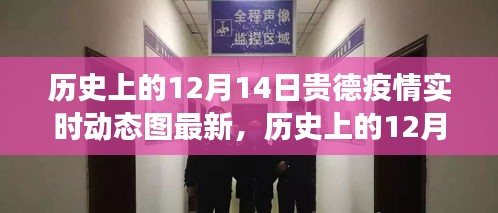 歷史上的12月14日貴德疫情實時動態圖最新解讀與更新