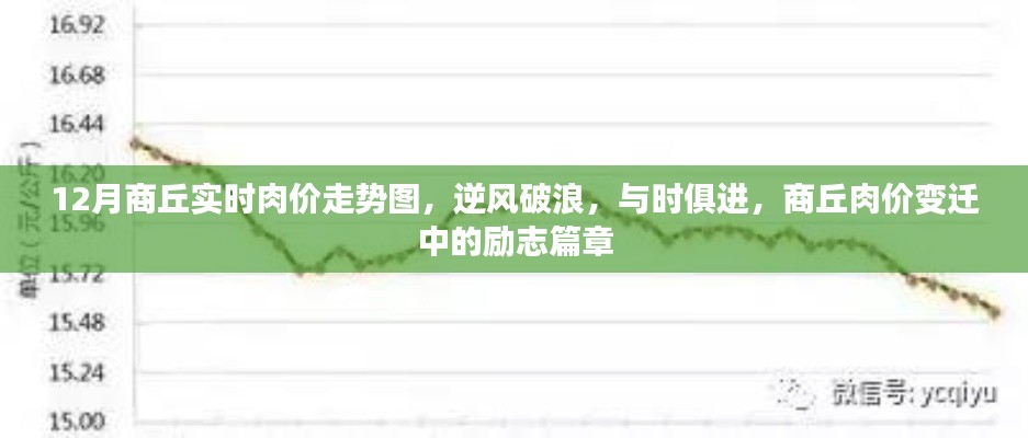 商丘肉價變遷,逆風破浪的勵志篇章與實時走勢解析