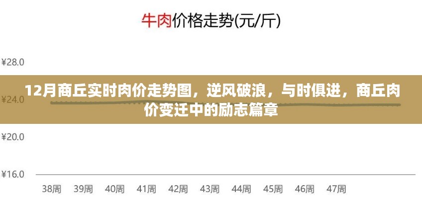 商丘肉價變遷,逆風(fēng)破浪的勵志篇章與實時走勢解析