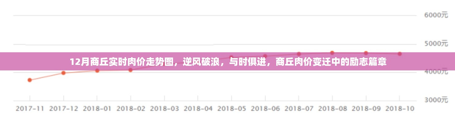 商丘肉價變遷,逆風(fēng)破浪的勵志篇章與實時走勢解析