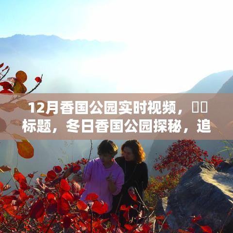 冬日香國(guó)公園實(shí)時(shí)探秘，追尋自然魔法與內(nèi)心寧?kù)o的旅程