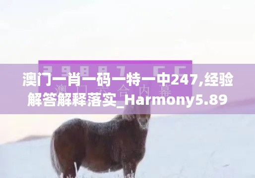 澳門一肖一碼一特一中247,經驗解答解釋落實_Harmony5.893