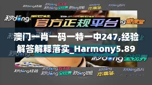 澳門一肖一碼一特一中247,經驗解答解釋落實_Harmony5.893