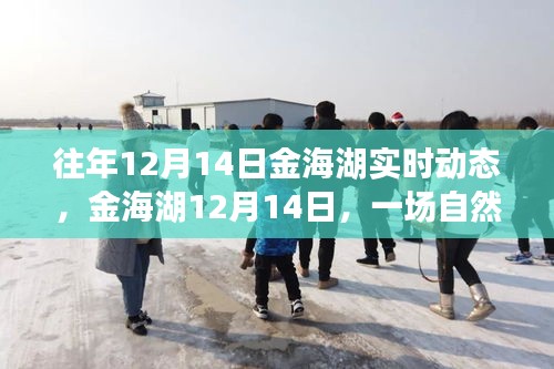 金海湖12月14日自然之旅的心靈覺醒紀實