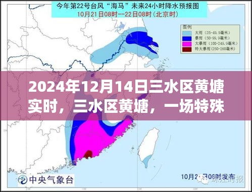三水區(qū)黃塘，特殊時刻的回顧與記錄（2024年12月14日）