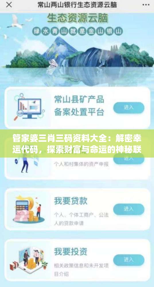 管家婆三肖三碼資料大全：解密幸運代碼，探索財富與命運的神秘聯系