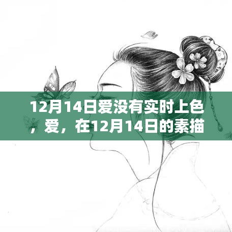 12月14日素描中的無聲之愛,悄然上色的浪漫情感