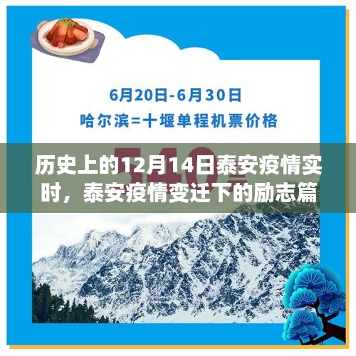 泰安疫情變遷下的勵志篇章,學習之光照亮未來之路的抗疫歷程