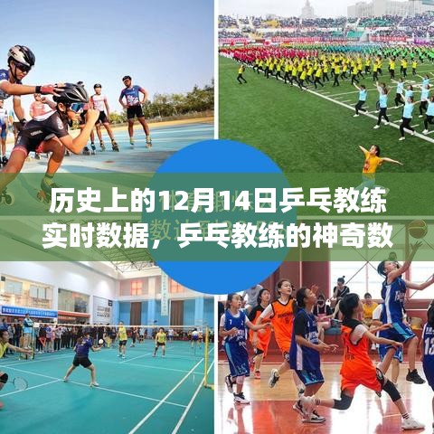 乒乓教練的神奇數據日,歷史回顧與溫馨故事