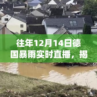 揭秘德國暴雨,實時直播下的天氣巨變與往年12月14日的暴雨紀實