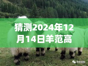 探秘羊范高速之旅,預測明日路況,啟程尋找寧靜港灣的實時路況展望(XXXX年XX月XX日)