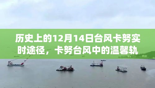 卡努臺風中的溫情軌跡,友情與陪伴的故事,歷史記錄下的溫馨瞬間