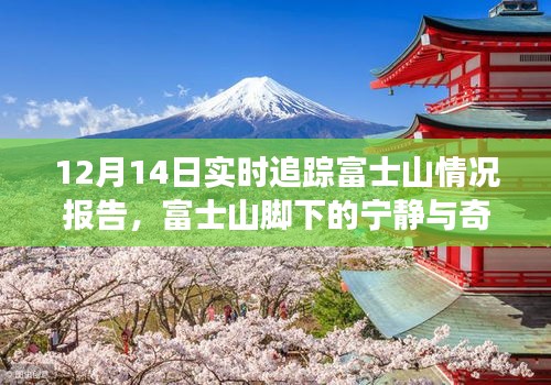 富士山實時追蹤報告,與自然共舞,探尋寧靜與奇跡的旅程
