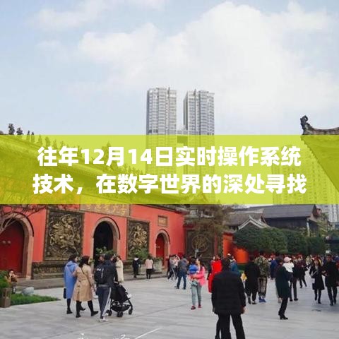 數(shù)字世界的探索與內(nèi)心寧?kù)o的追求，十二月十四日實(shí)時(shí)操作系統(tǒng)技術(shù)的自然之旅