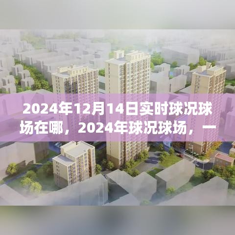 歷史與未來的交匯，揭秘2024年球況球場實時動態與地點