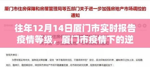 廈門市疫情逆襲之路,學習之光照亮前行之路的實時報告