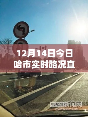 哈爾濱實時路況直播,直擊街頭實況,掌握路況信息(12月14日)