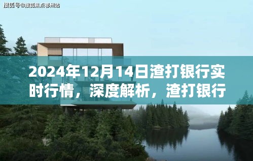 深度解析，渣打銀行實時行情體驗與評測報告（2024年12月14日版）