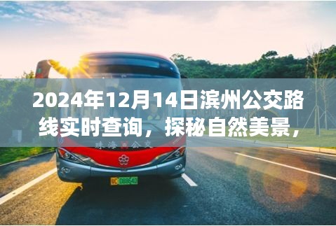濱州公交路線實時查詢,啟程公交之旅,探尋自然美景與內心寧靜的交匯點