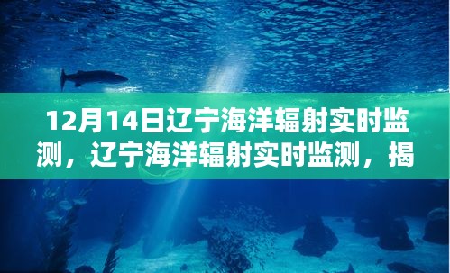 揭秘科技力量與環保責任,遼寧海洋輻射實時監測詳解(要點詳解)