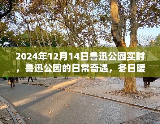魯迅公園冬日暖陽下的日常奇遇與溫馨時光紀(jì)實(shí)(實(shí)時更新)