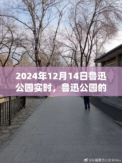 魯迅公園冬日暖陽下的日常奇遇與溫馨時光紀實(實時更新)